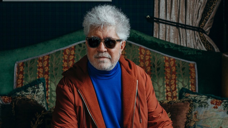 Pedro Almodóvar, wearing glasses, strikes a charismatic pose against a vibrant backdrop, his colorful attire complementing the scene.